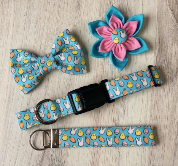 A blue collar and bow tie next to a flower.