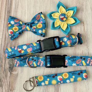 A blue dog collar and leash with flowers on it.