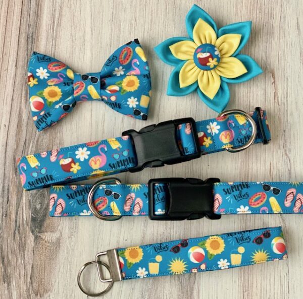 A blue dog collar and leash with flowers on it.