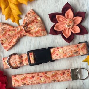 A dog collar, bow tie and flower are all on the table.