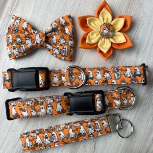 A dog collar and bow tie next to other items.
