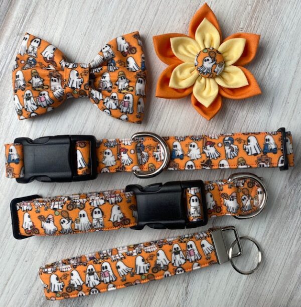 A dog collar and bow tie next to other items.