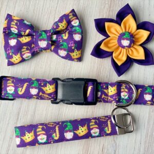 A purple collar with yellow and gold accents.