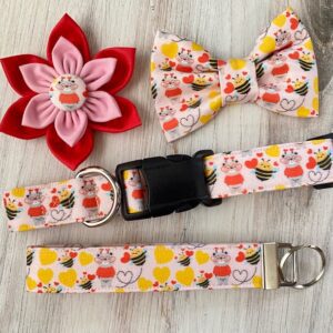 A dog collar, flower and two cat collars.